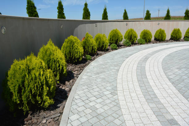 Best Decorative Driveway Pavers  in Mullica Hill, NJ